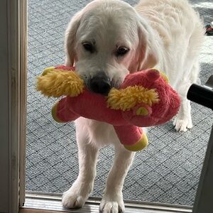 Unlisted items